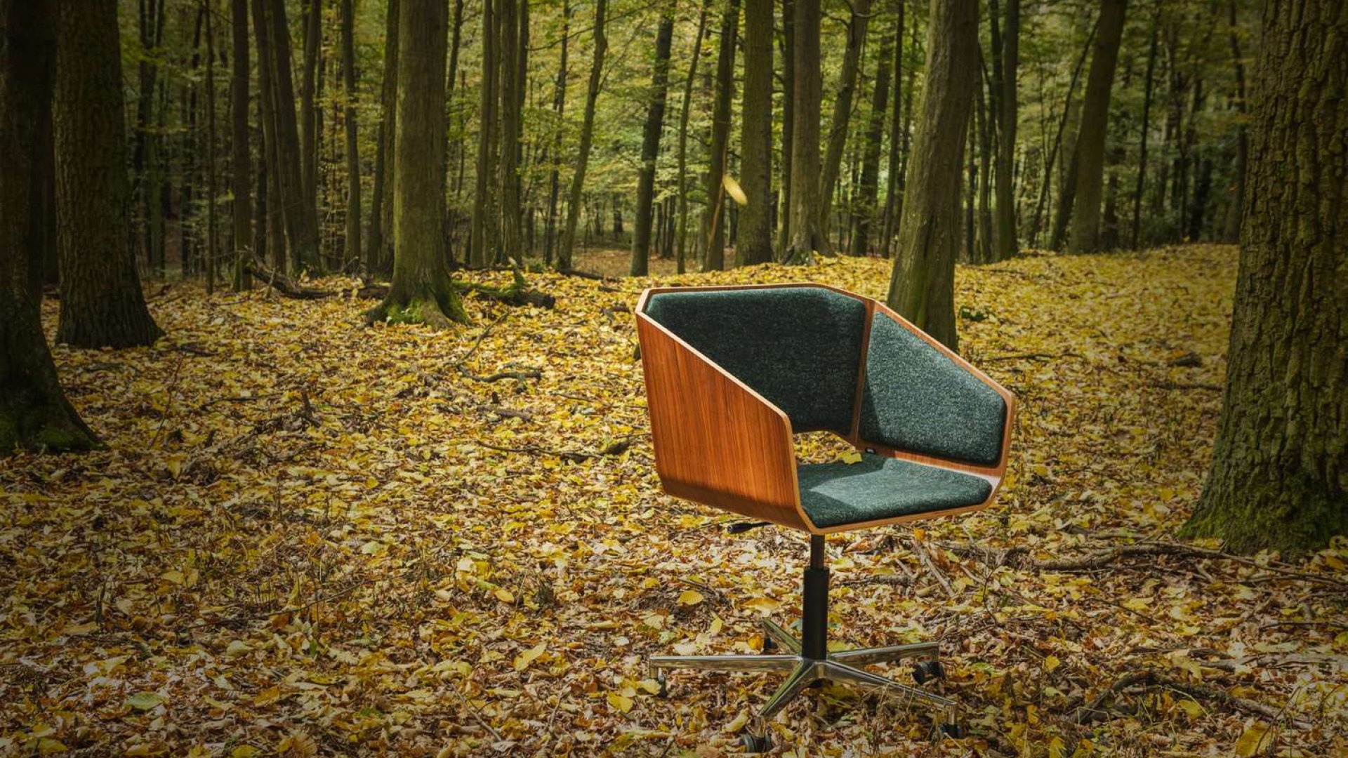 WOODI office chairs
