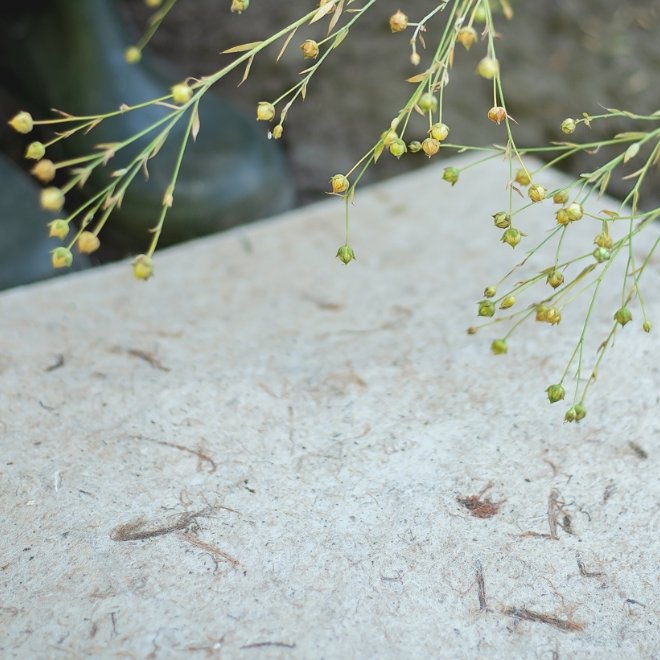 NATURAL BIO-MATERIAL