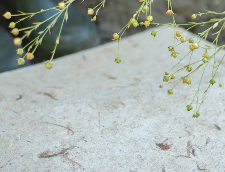 NATURAL BIO-MATERIAL