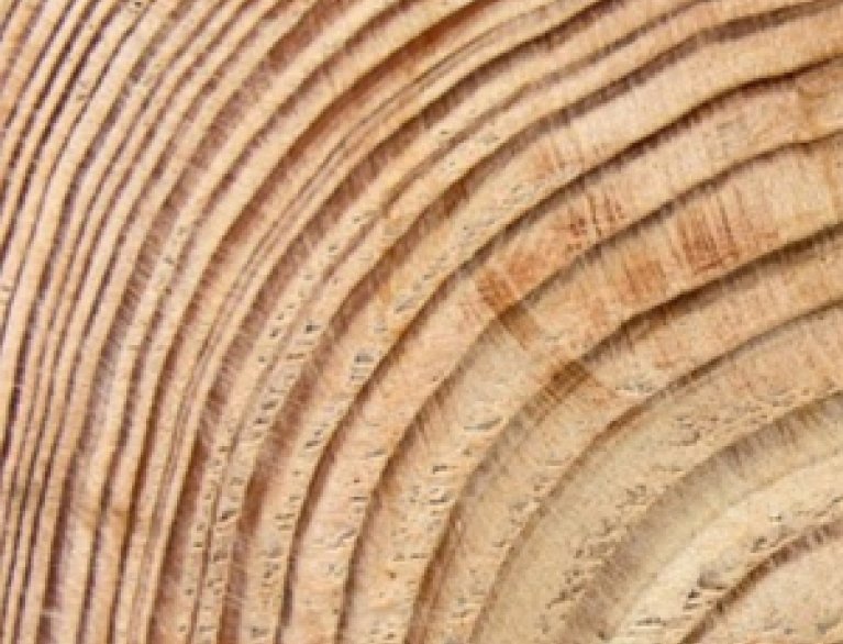 NATÜRLICHE MATERIALIEN